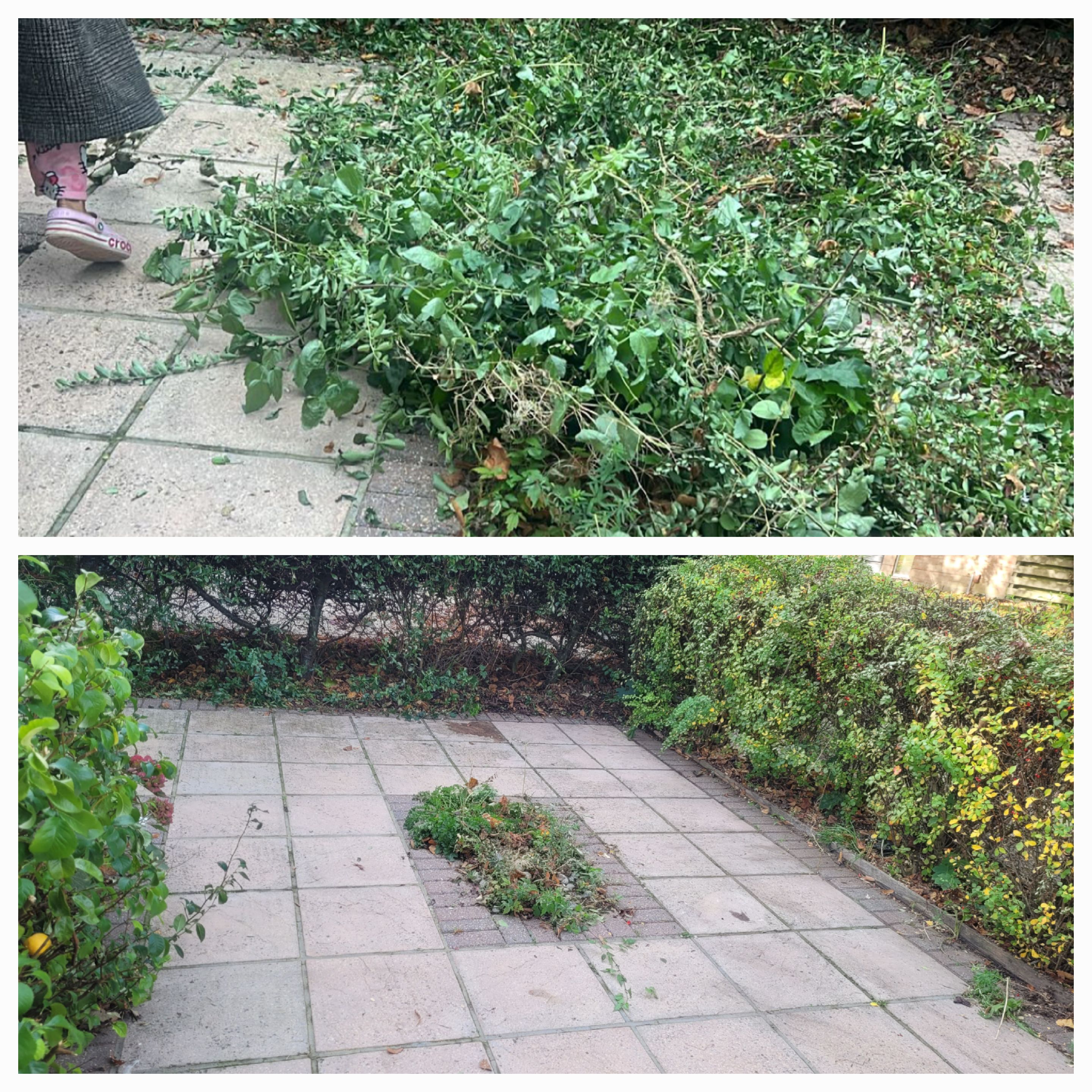 Garden Patio Transformation - Before and After